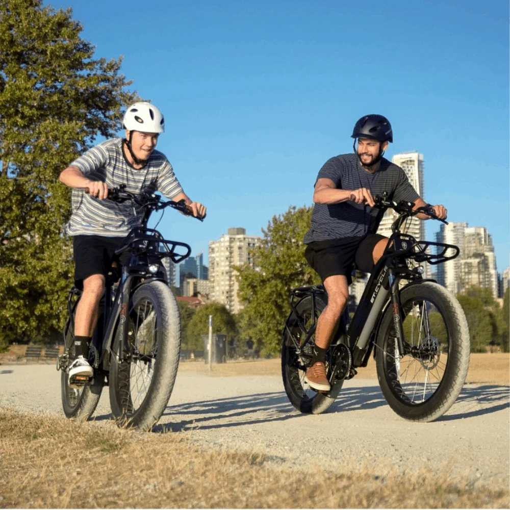 Electric Bikes 